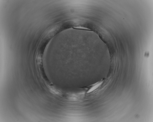 X0000090440137200708102035