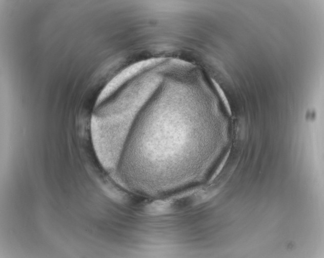 X0000090440138200708102035