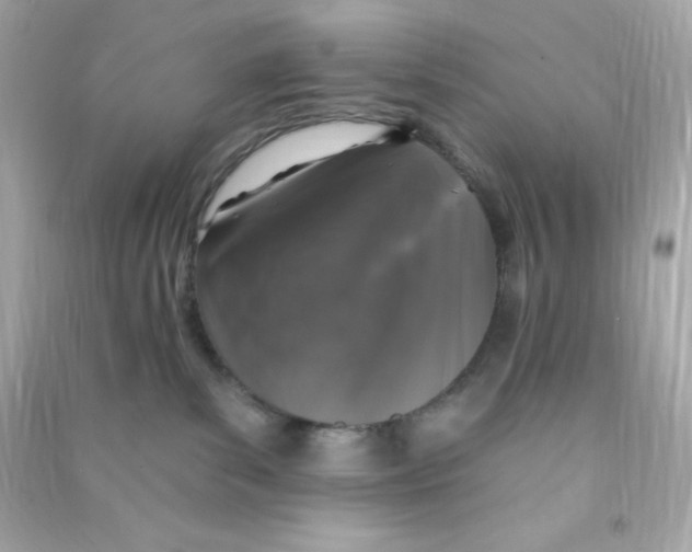 X0000090440139200708102035