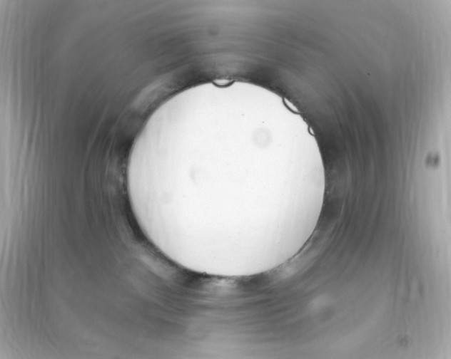 X0000090440140200708102035