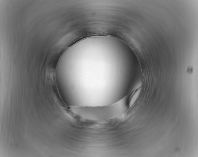 X0000090440141200708102035