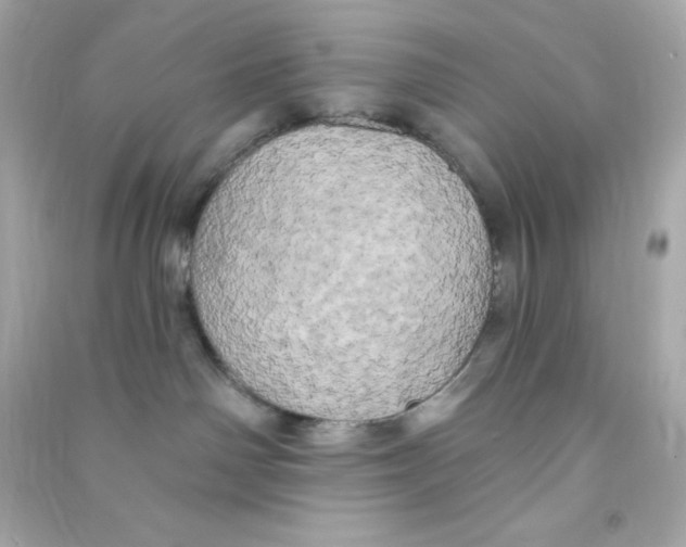 X0000090440142200708102035