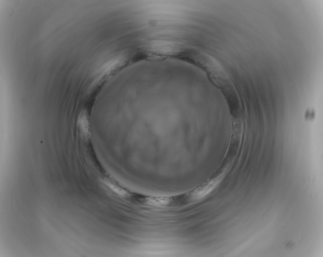 X0000090440143200708102035