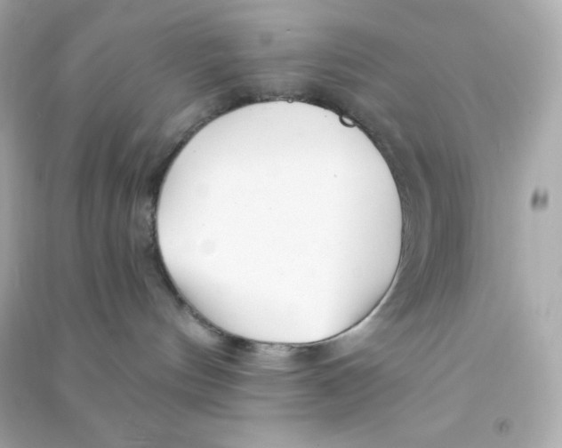 X0000090440144200708102035