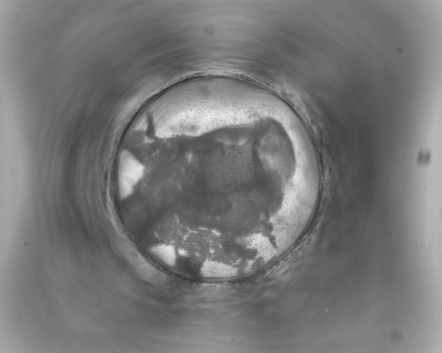 X0000090440145200708102035