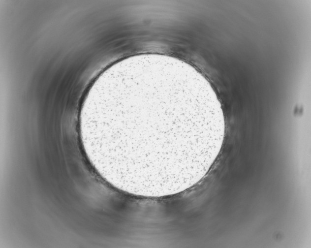 X0000090440146200708102035