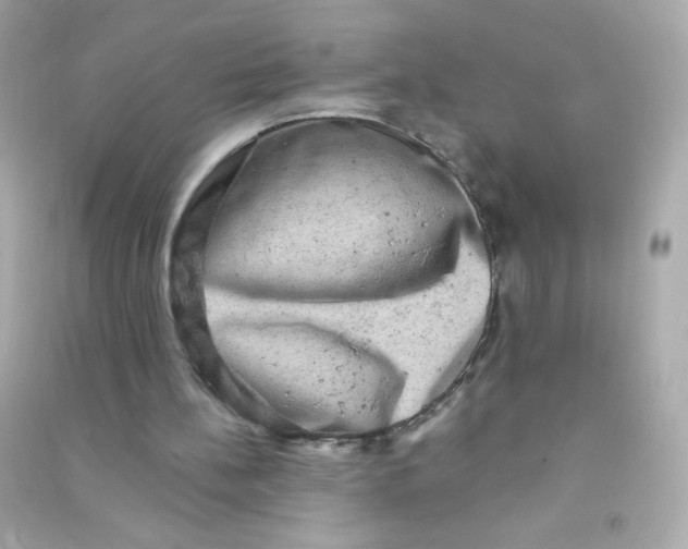 X0000090440148200708102035