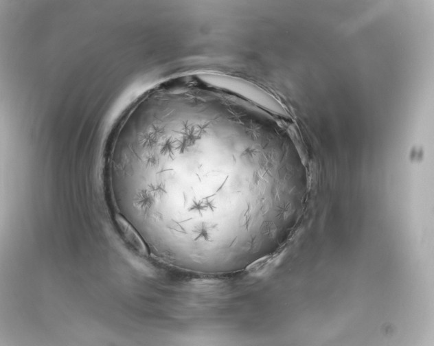 X0000090440150200708102035