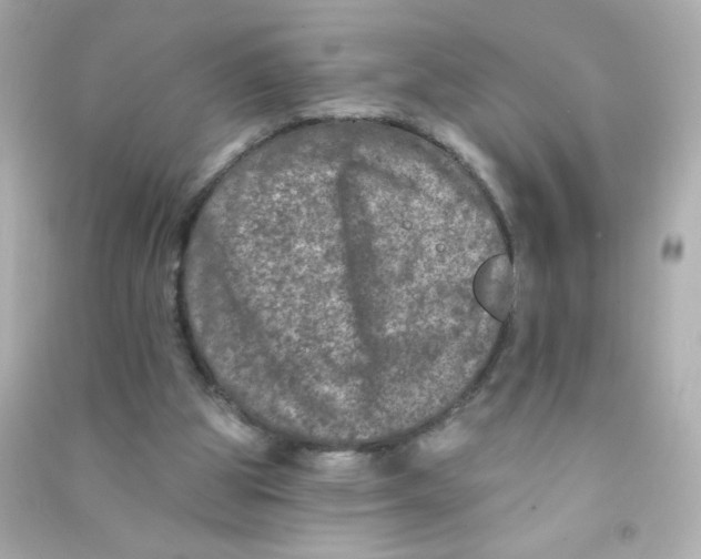X0000090440153200708102035