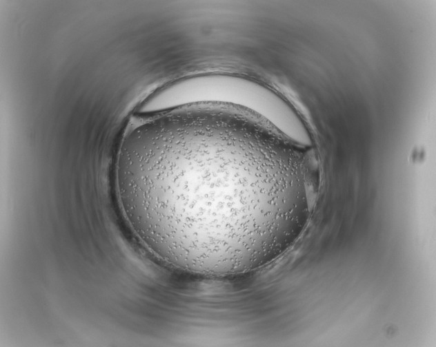 X0000090440154200708102035