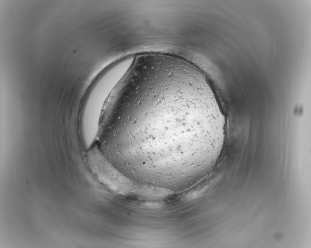X0000090440156200708102035