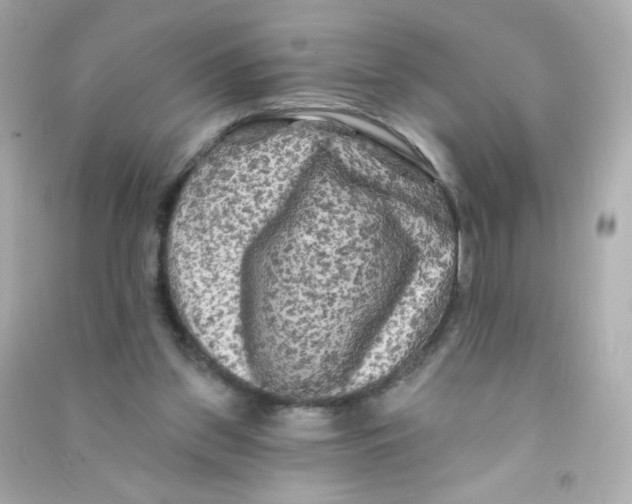 X0000090440157200708102035