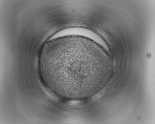 X0000090440158200708102035