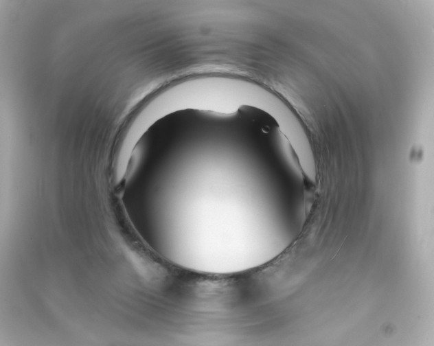 X0000090440160200708102035