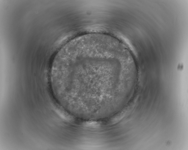 X0000090440161200708102035