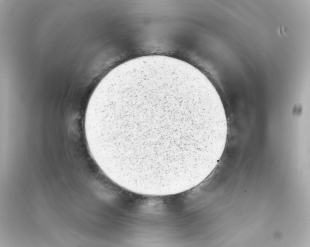 X0000090440162200708102035