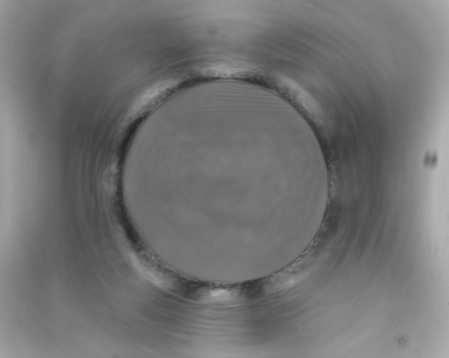 X0000090440163200708102035