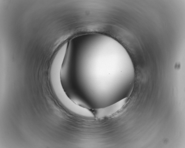 X0000090440164200708102035