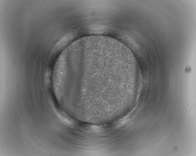 X0000090440166200708102035