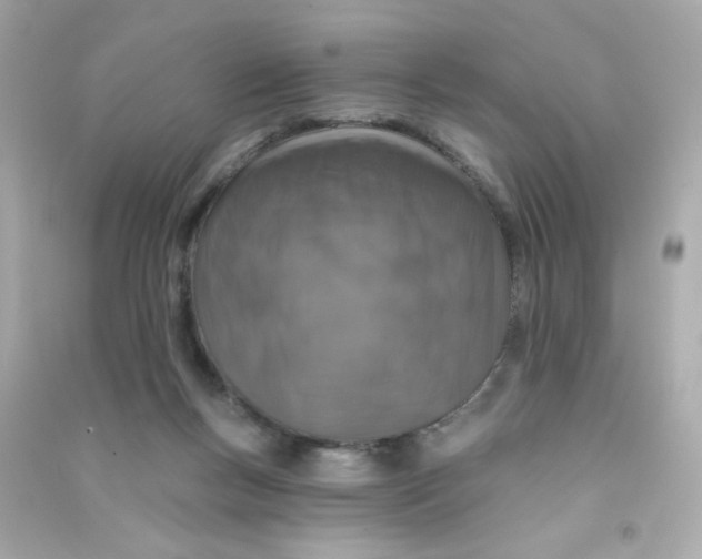 X0000090440167200708102035