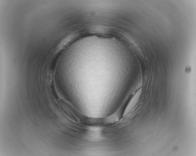 X0000090440168200708102035