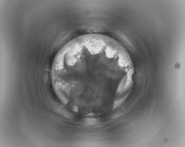 X0000090440169200708102035