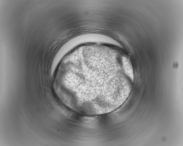 X0000090440170200708102035