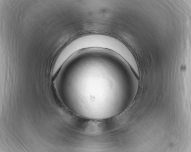 X0000090440172200708102035