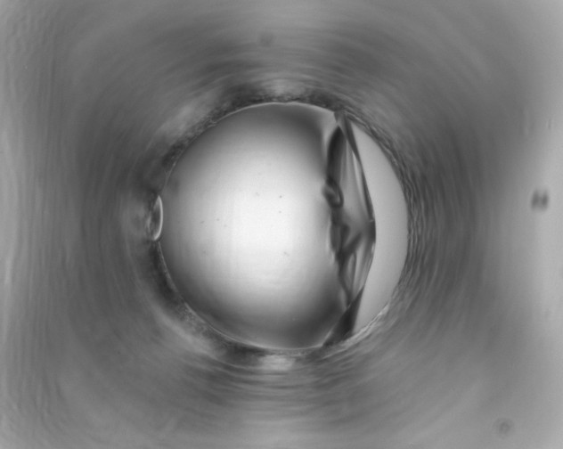 X0000090440176200708102035