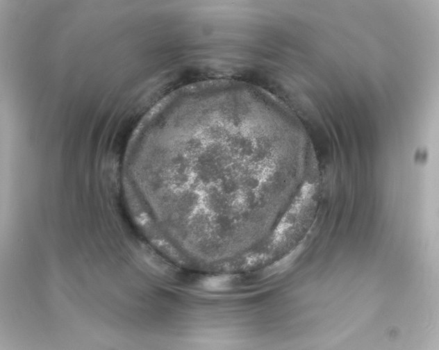 X0000090440178200708102035