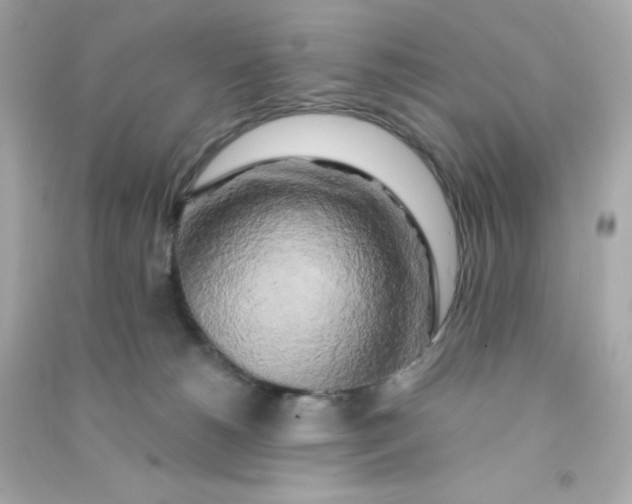 X0000090440180200708102035