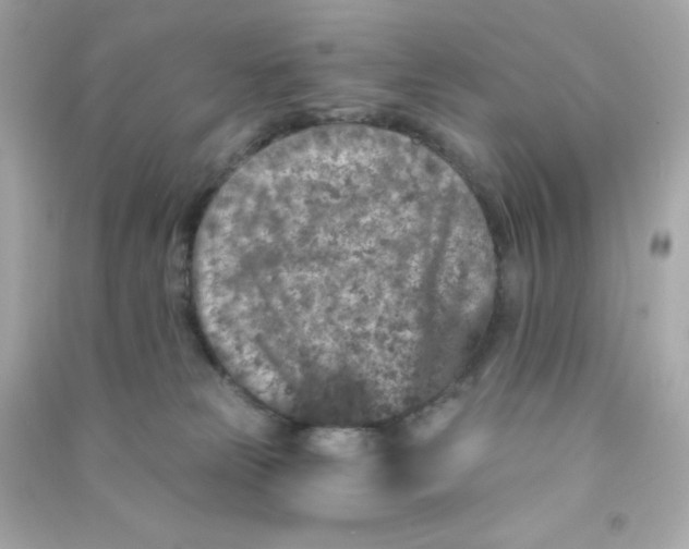 X0000090440181200708102035
