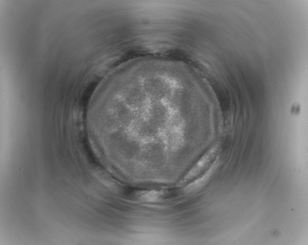 X0000090440182200708102035
