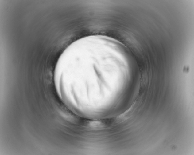X0000090440183200708102035