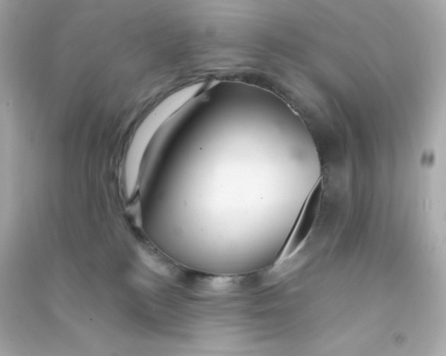 X0000090440184200708102035