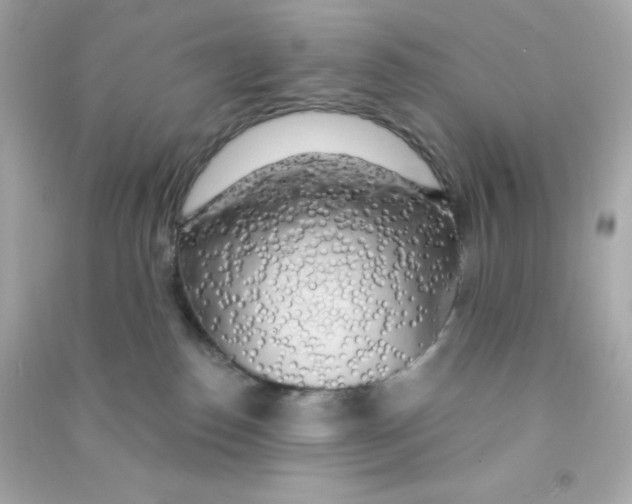 X0000090440186200708102035