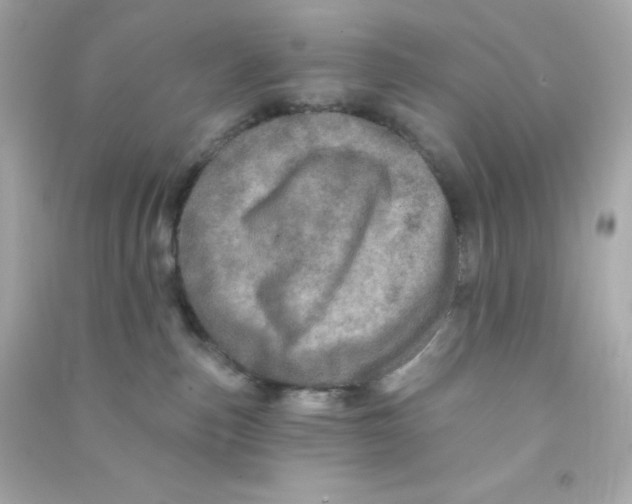 X0000090440187200708102035