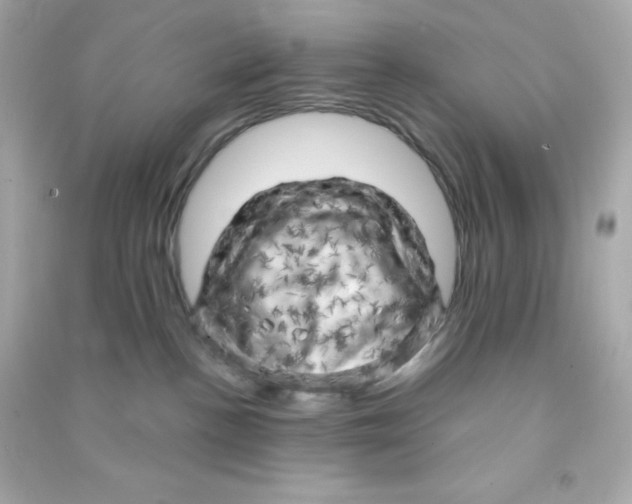 X0000090440188200708102035