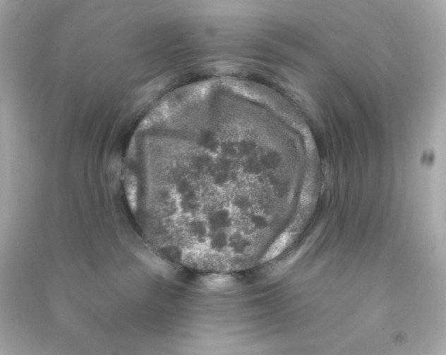 X0000090440189200708102035