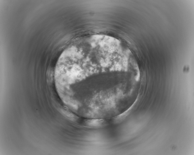 X0000090440191200708102035