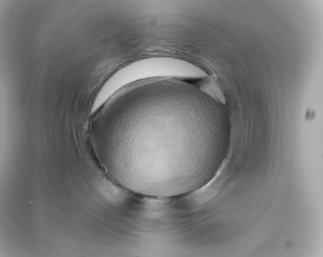 X0000090440192200708102035