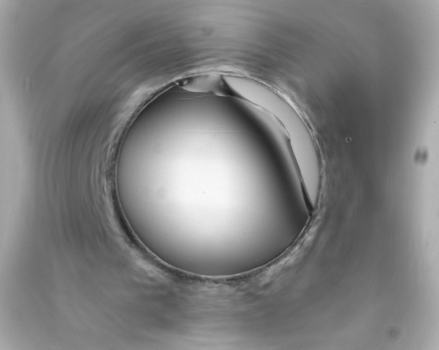 X0000090440193200708102035