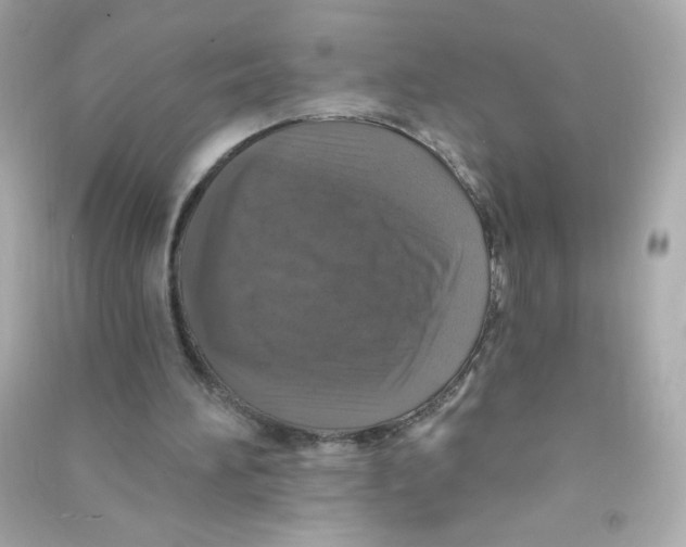 X0000090440196200708102035