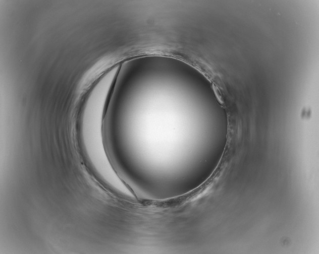 X0000090440197200708102035