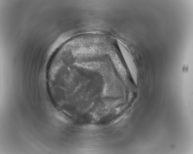 X0000090440198200708102034