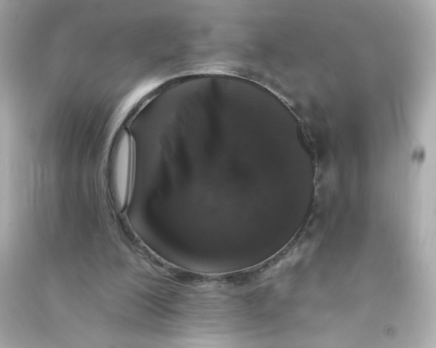 X0000090440200200708102034