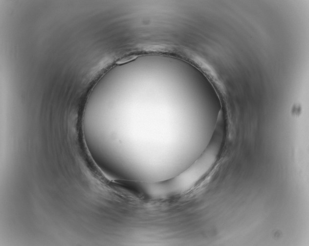 X0000090440201200708102034