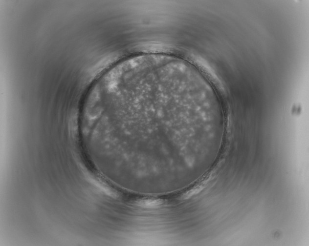 X0000090440202200708102034