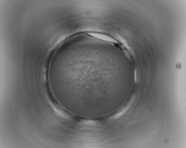 X0000090440205200708102034