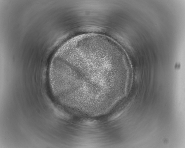 X0000090440206200708102034